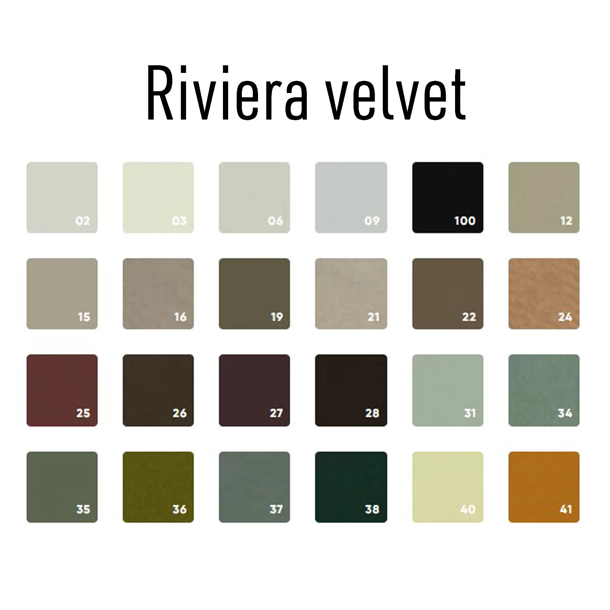 riviera 1 Stoel A-10/1 webbing
